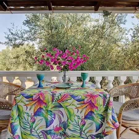 Areti Orfeas 7 * Zakynthos