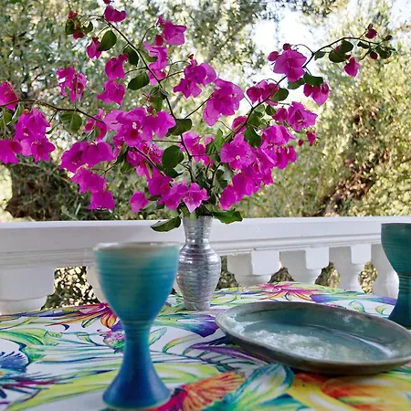 Lägenhet Areti Orfeas 7